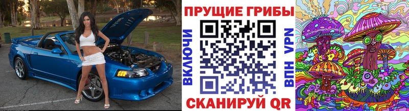 Галлюциногенные грибы мицелий  hydra tor  Чкаловск 